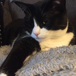 Meet your Posher, Chelsea